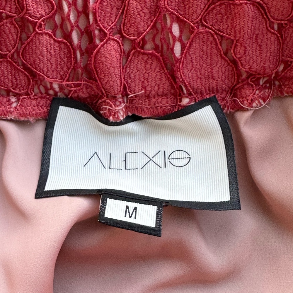 Alexis Multi-Colored Lace Mixed-Media Flare Mini Skirt - Picture 9 of 10